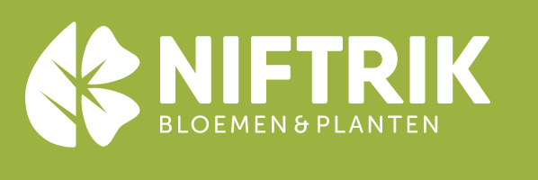 Niftrik Bloemen en planten